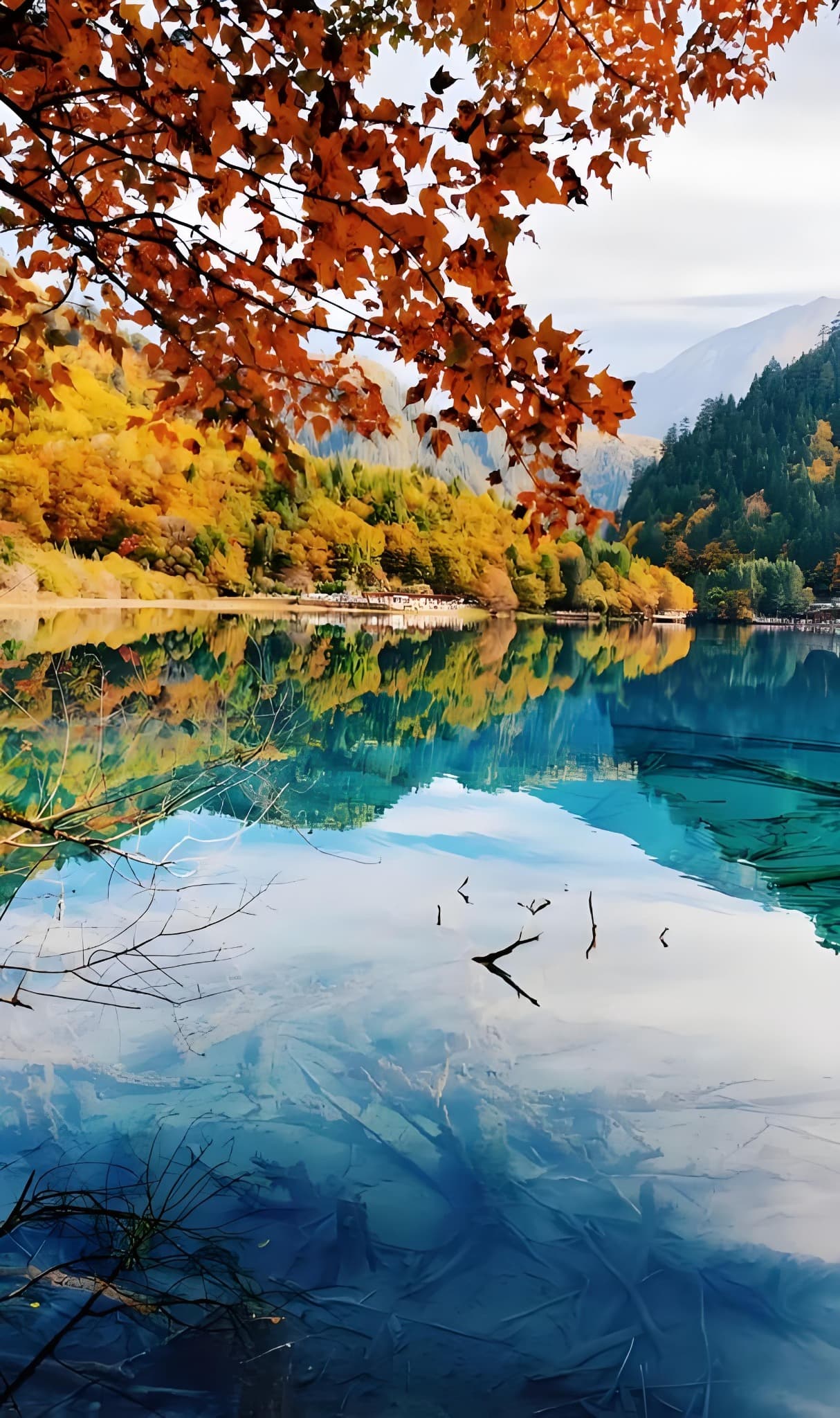 Golden autumn forest reflected in a clear Jiuzhaigou lake