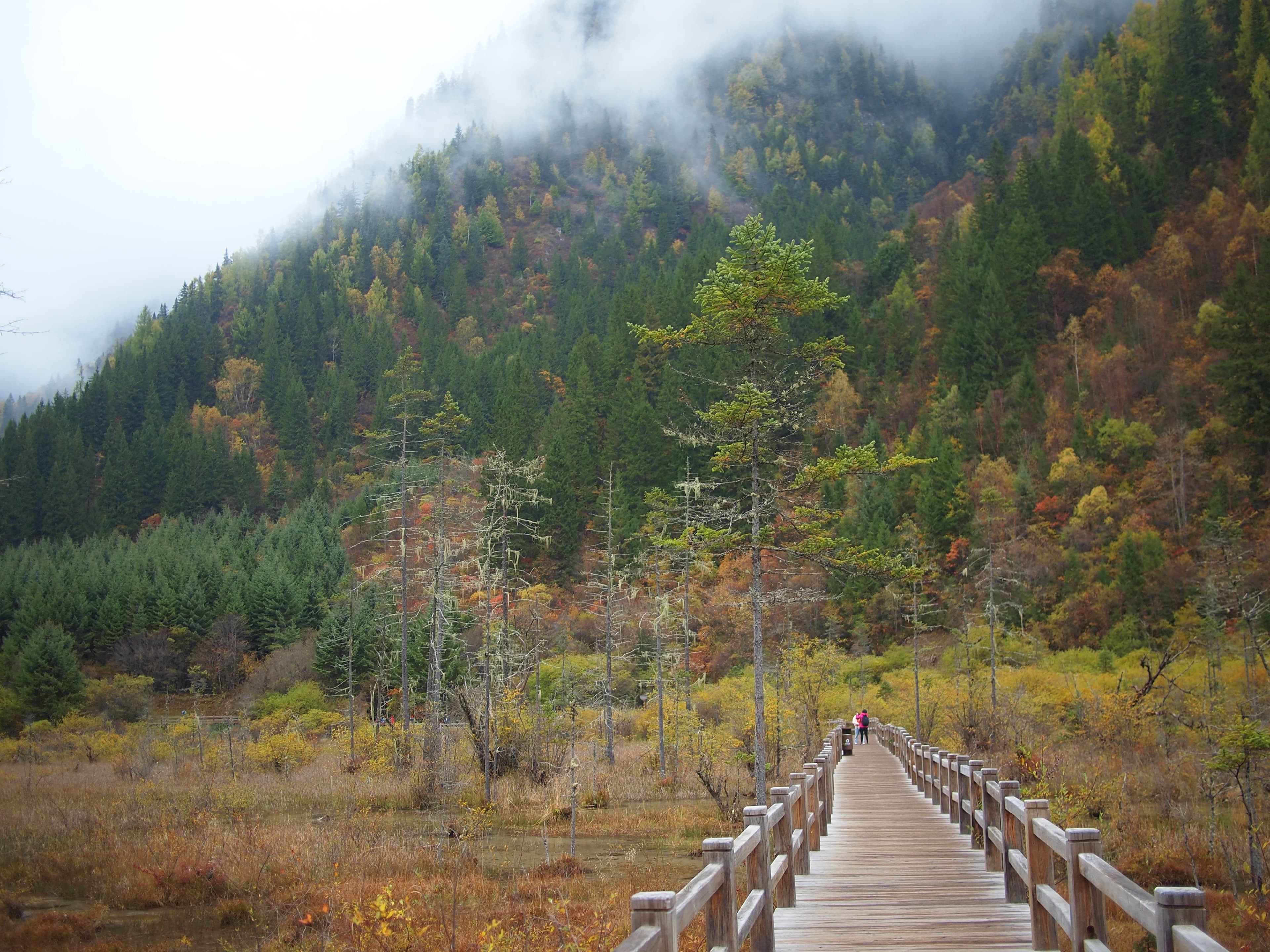 Visitors on a Jiuzhaigou boardwalk