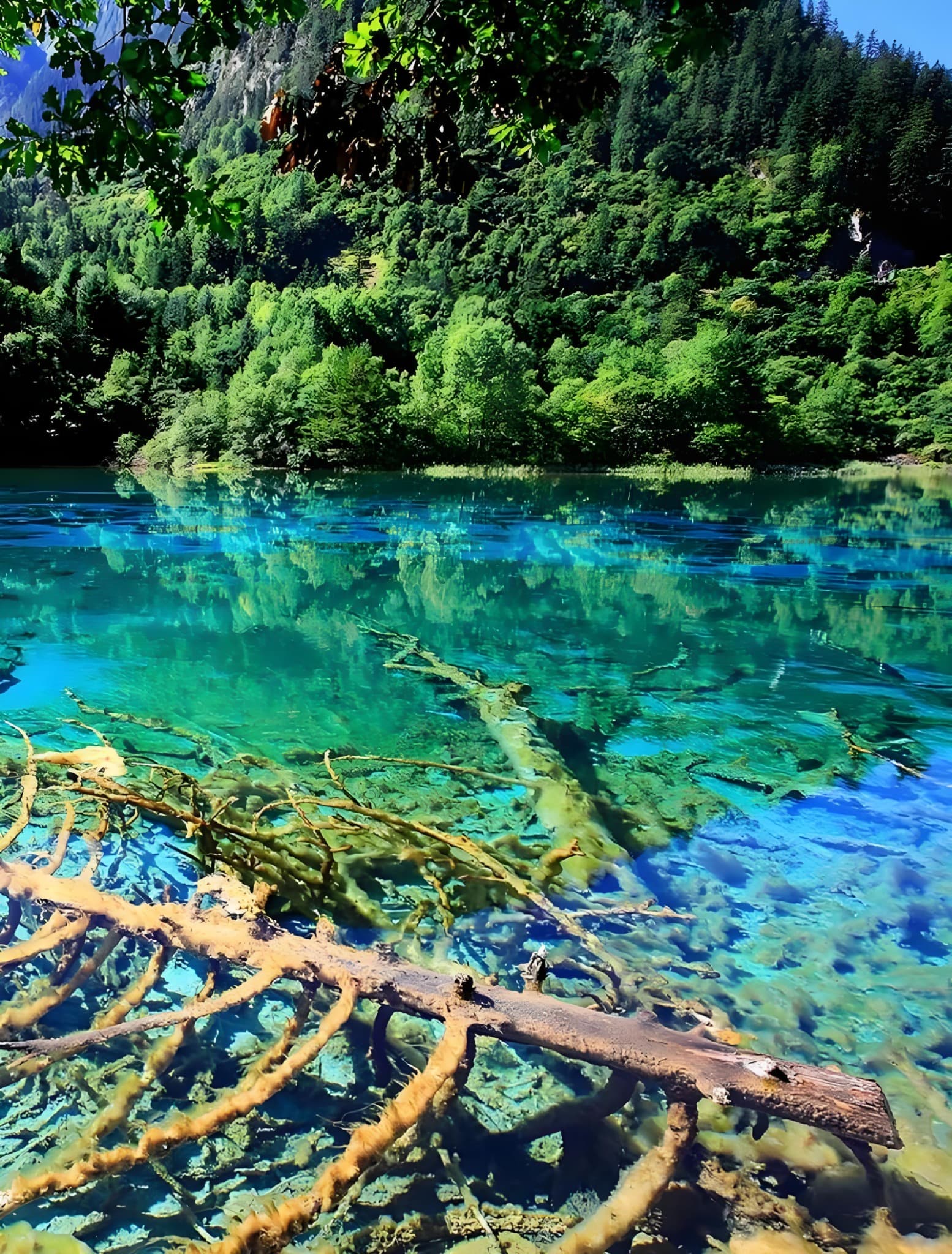 Clear turquoise Jiuzhaigou lake